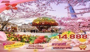 เกาหลี สวนสนุกเอเวอร์แลนด์ 