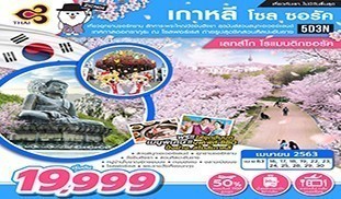 เกาหลี โซล ซอรัค 