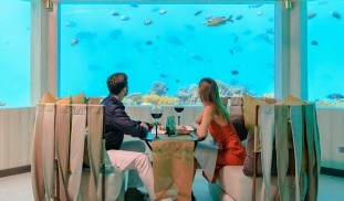 Underwater-Restaurant-in-Maldives-OZEN-LIFE-MAADHOO.jpg