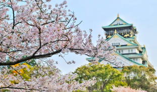 Hirosaki Castle GIF Youtube (17).png