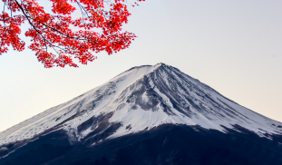 GIF Youtube (39).png