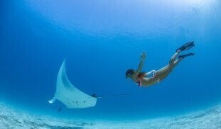 441489062_854665863367569_8583234461577303151_n (1).jpg