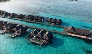 449507270_522275737001121_3652952726141003959_n (1) (1).jpg