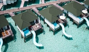 492530398_1238068948324464_6197041508315739439_n (1).jpg