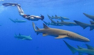 484914882_3486945881437204_4479985997825888683_n (1).jpg