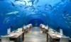 CN_thaaundersea01_2_700x525_FitToBoxSmallDimension_Center.jpg