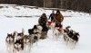 Dog-sledding-TourMongolia.jpg