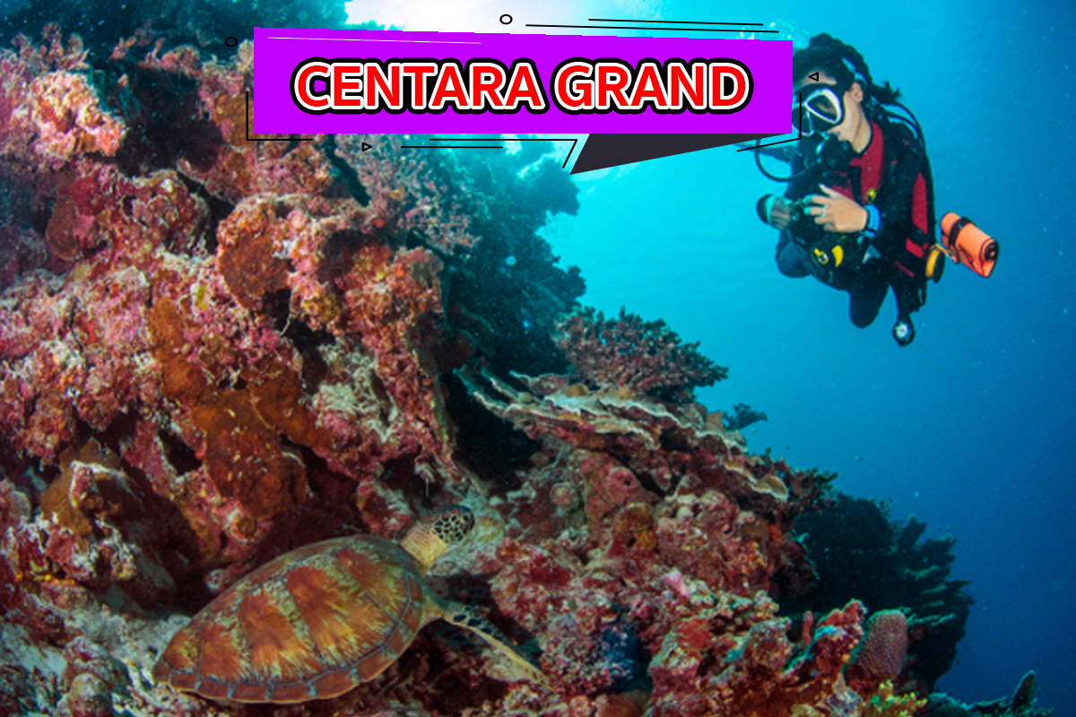 Centara Grand รีสอร์ทมัลดีฟส์ รีสอร์ทที่มีจุดดำน้ำที่น่าสนใจ