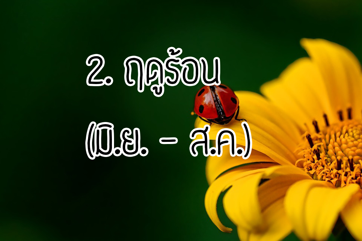 จอร์เจีย