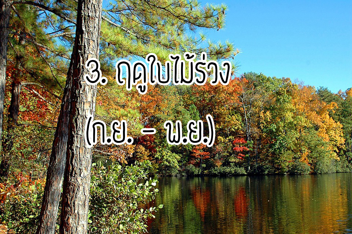 จอร์เจีย