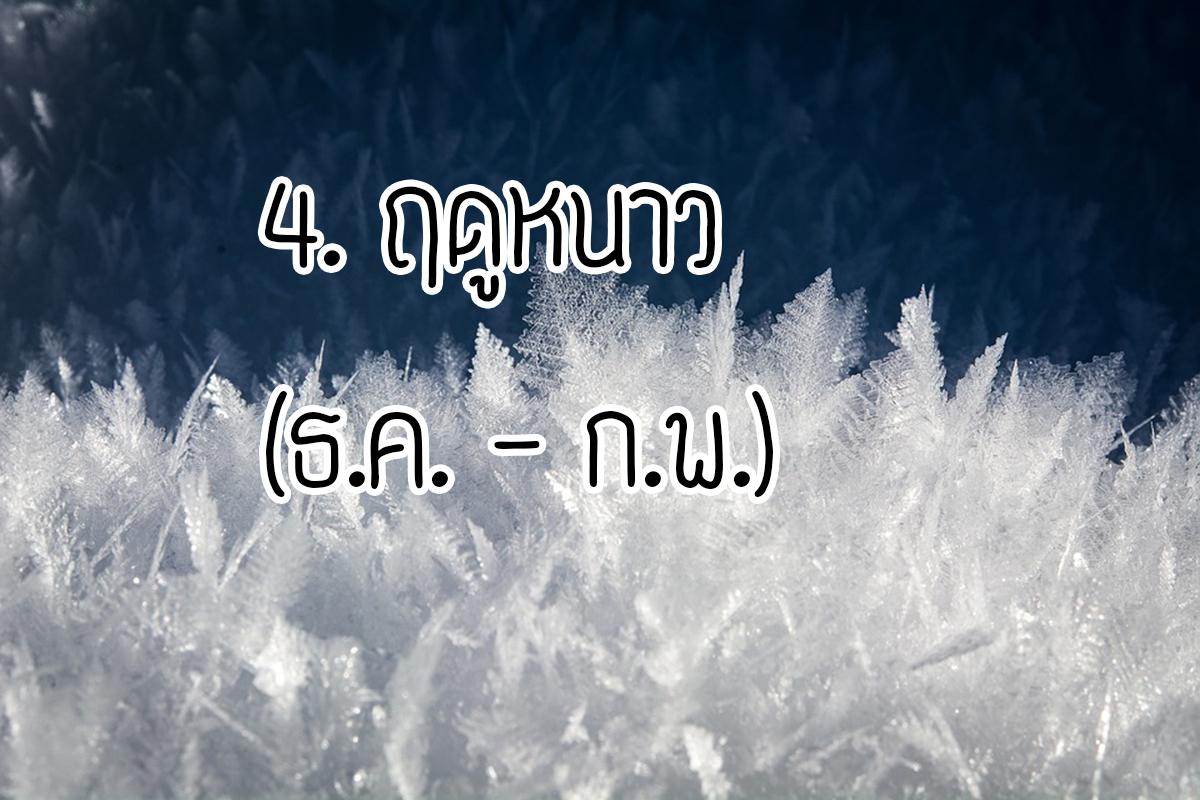 จอร์เจีย georgia