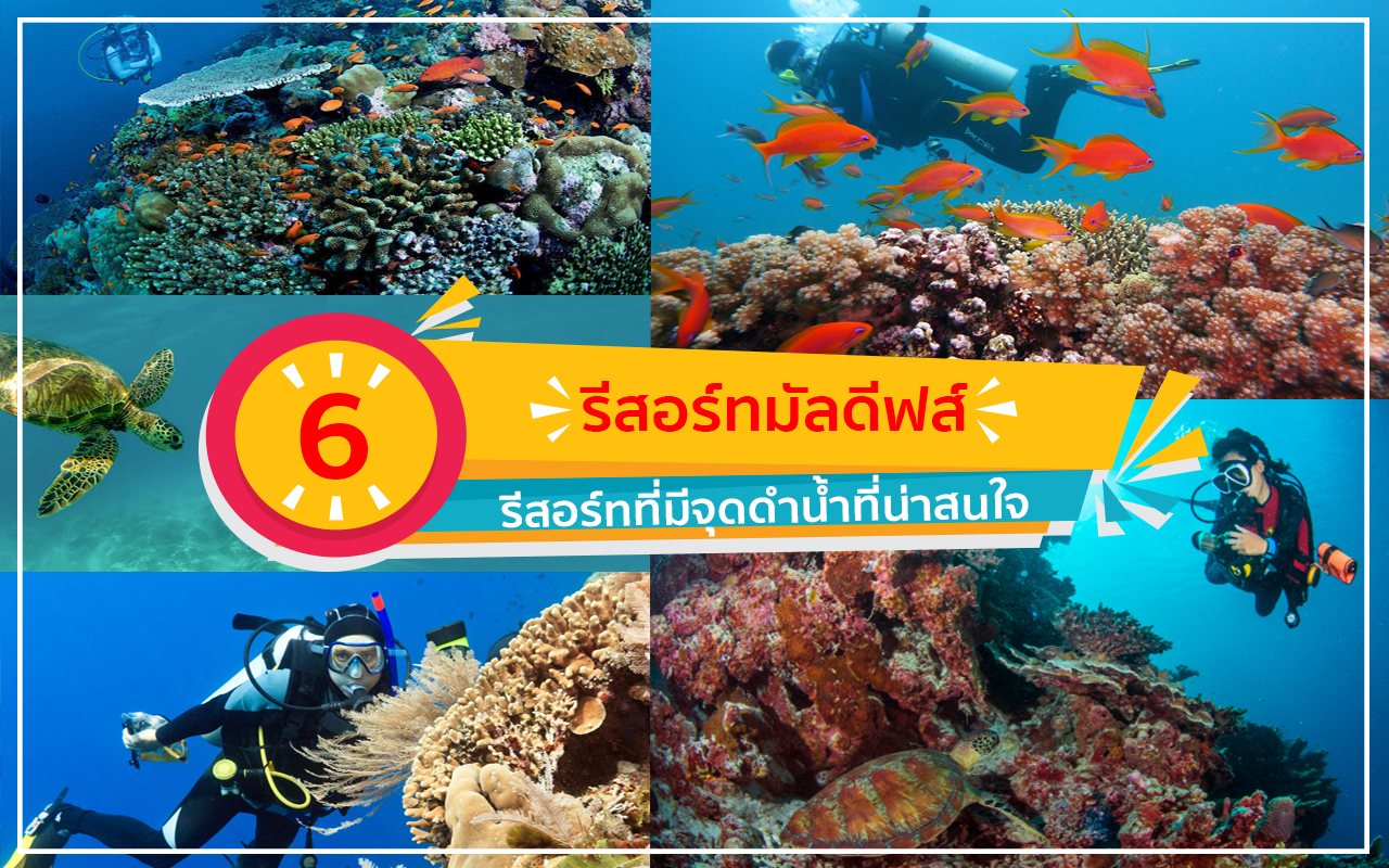 รีสอร์ท 5 ดาว รีสอร์ทมัลดีฟส์ รีสอร์ทมัลดีฟส์จุดดำน้ำ