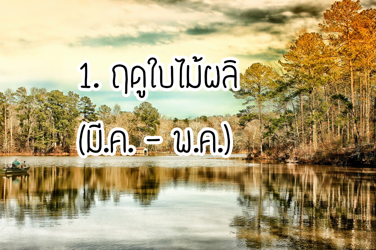 จอร์เจีย